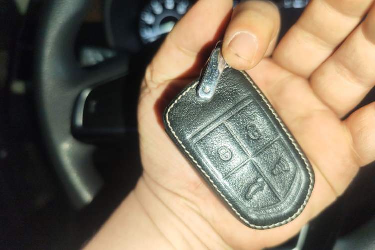 Used BORGWARD BX5 2020 20TGDI Automatic Two-Wheel Drive Pioneer Edition