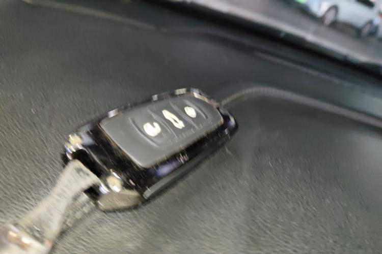 Used Geometry EX3 Kung Fu Cow 2021 Tough Bull Cow
