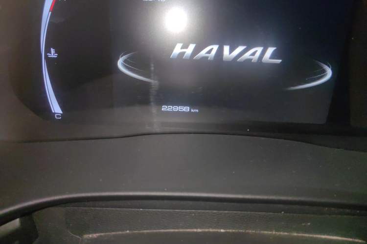Used Haval H6 2021 National Trend Edition 1.5T Automatic Champion Version