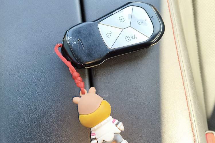 Used XPeng P7 2023 480G Vehicle Key