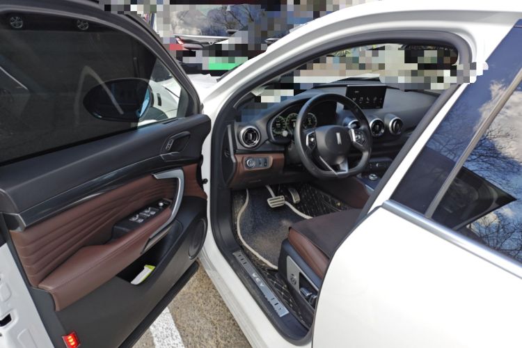 Used Wey P8 2018 2.0T Flagship Model
