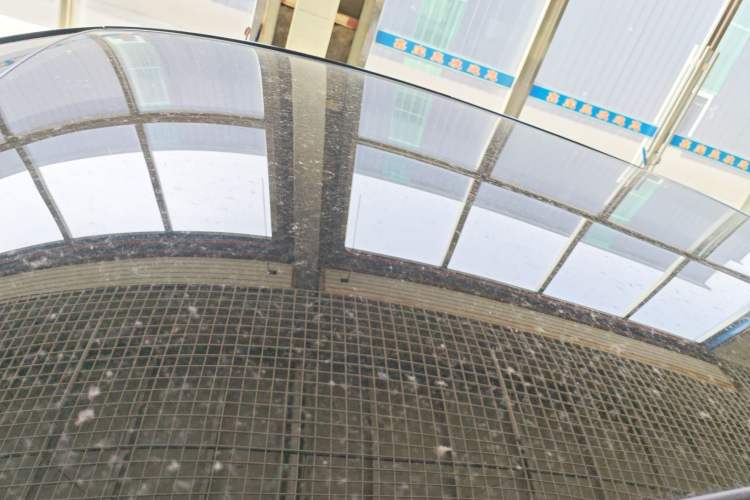 Used Chery Little Ant 2024 Edition Youth Version 251km True Love Edition 25.05 kWh