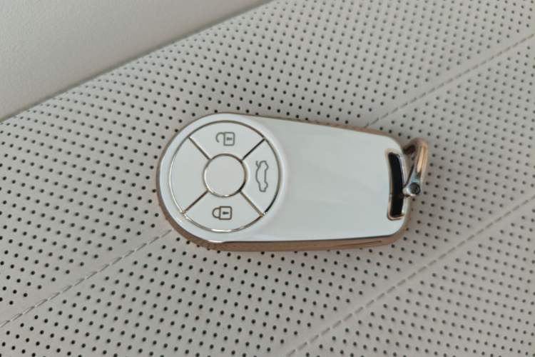 Used ORA Good Cat 2022 Morandi Edition 400km Standard Range Premium Version Lithium Iron Phosphate
