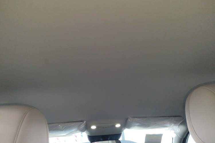 Used AION UT 2025 330 Starlight Edition Headliner