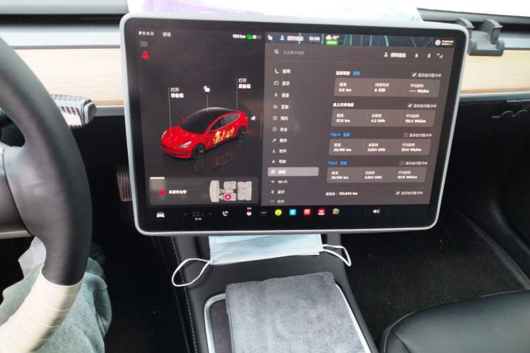 Used Tesla Model 3 2022 Rear-Wheel-Drive Version
