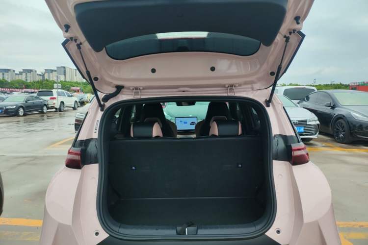 Used BYD Seagull 2025 Smart Drive Version 305 km Freedom Edition