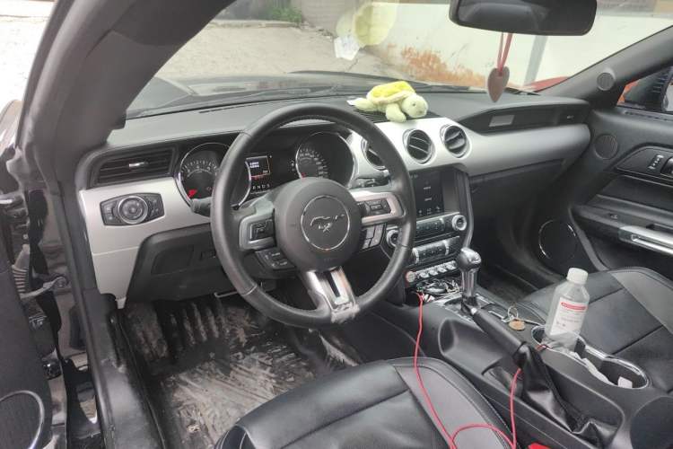 Used Ford Mustang 