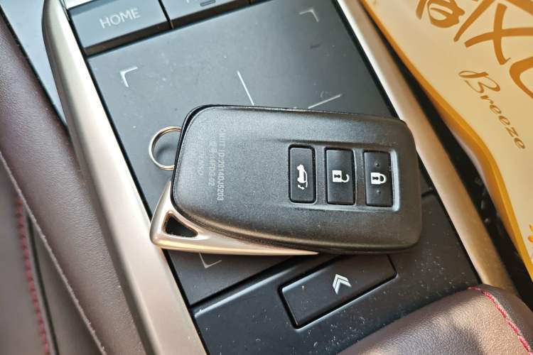 Used Lexus RX 2020 300 4x4 Elegant Edition China VI