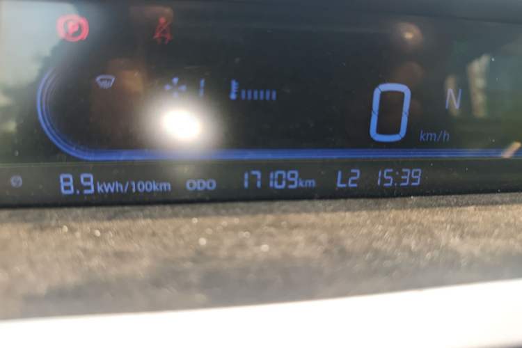 Used Geely Galaxy Panda 2023 Panda Mini 200km Endurance Bear Odometer Close Up