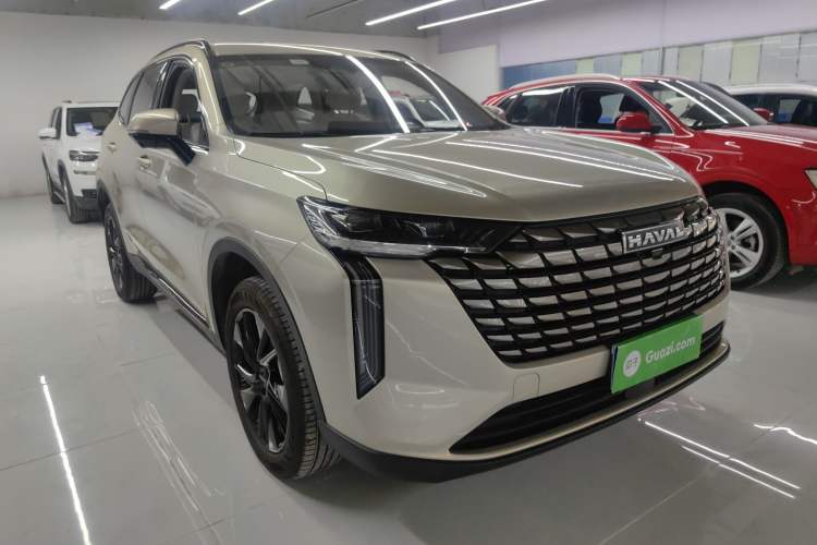 Used Haval H6 2024 2.0T Two-Wheel Drive Max