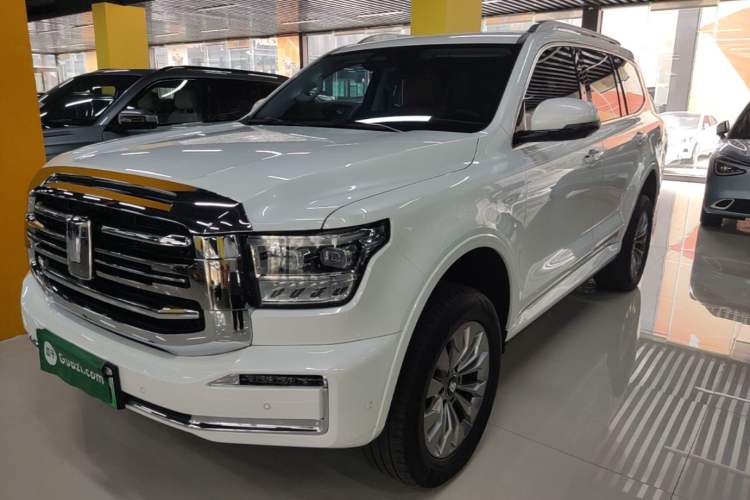 Used Tank 500 New Energy 2024 Hi4-T