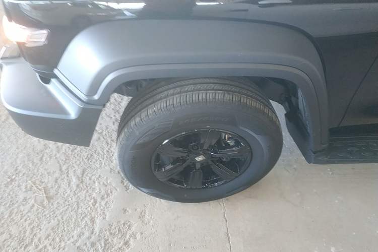 Used Tank 300 2024 2.0T Conqueror