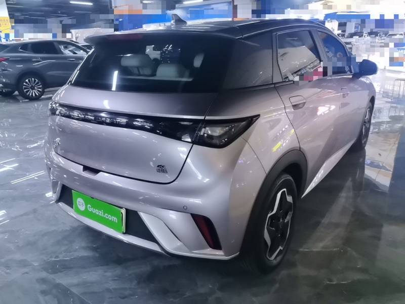 Used BYD Dolphin 2021 405 km Fashion Edition — 6