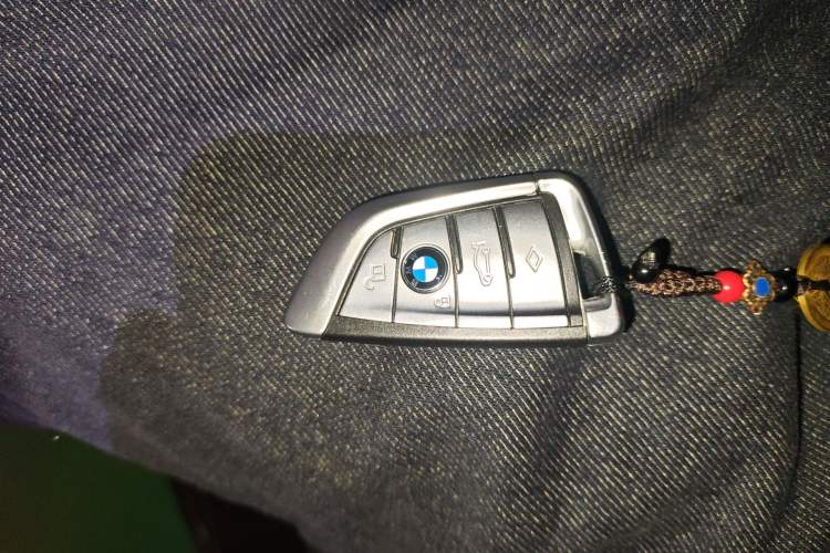 Used BMW 5 Series 2020 530Li Leading Model M Sport Package Vehicle Key