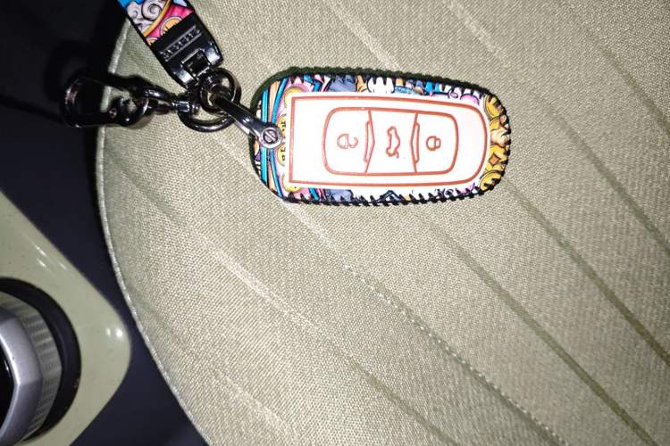 Used Geely Galaxy Panda 2023 Panda Mini 200km Endurance Bear
