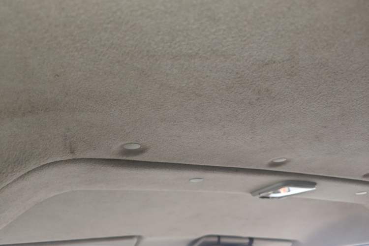 Used Nissan NV200 2010 1.6L Luxury Model Headliner