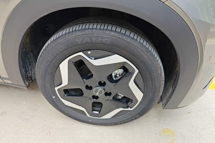 Used BYD Dolphin 2025 Smart Drive Version 420 km Freedom Edition Right Front Wheel Hub