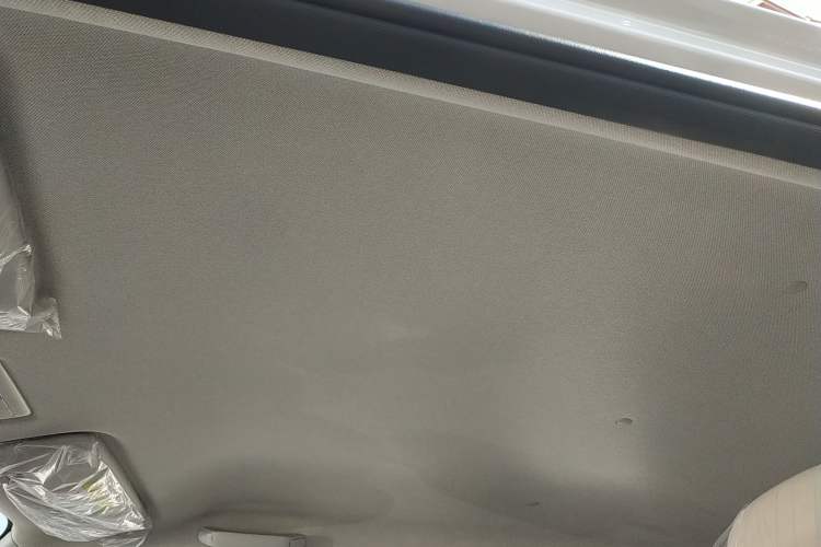 Used CHANGAN NEVO Lumin 2026 Model Treasure Edition 205km Passionate Beige Ningde Headliner