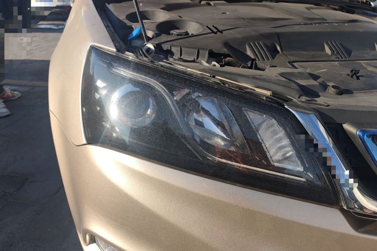 Used Geely Auto Emgrand New Energy 2017 EV300 Elite Model
