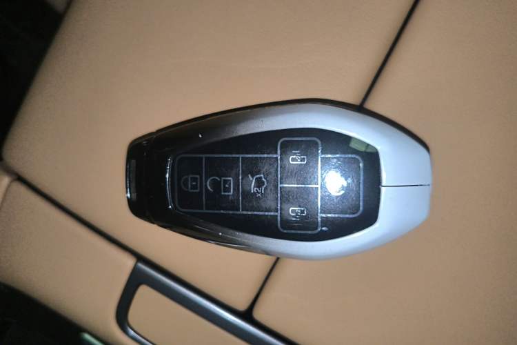 Used Denza D9 2025 DM-i Smart Drive 1020 Four-Wheel Drive Deluxe Model
