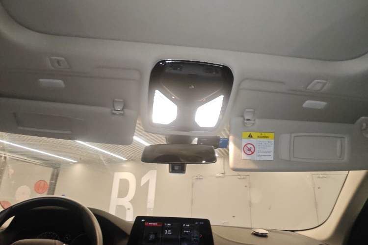 Used BMW 5 Series 2019 Facelifted 530Li Leading Edition Luxury Package