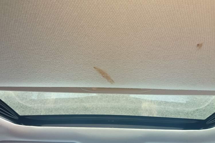 Used Toyota Levin 2021 2.0L Luxury Edition