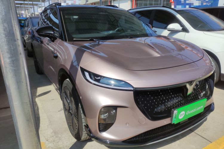 Used VOYAH COURAGE 2024 Four-Wheel Drive Global Edition