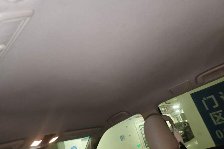 Used Toyota Prado 2010 2.7L Automatic Deluxe Edition Headliner