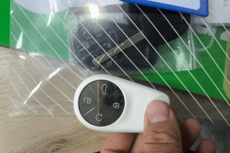 Used EXEED Lingyun 2024 300T Two-Wheel Drive Starlight Edition