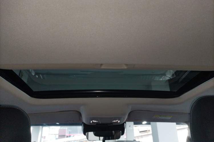 Used Tank 300 2023 Off-Road Edition 2.0T Challenger Headliner