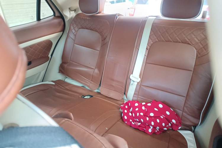 Used ORA Good Cat 2022 Morandi Edition 400km Standard Range Luxury Version Lithium-Ion Battery