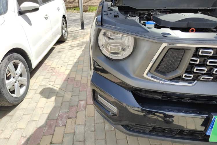 Used Haval H Dog 2023 2.0T Two-Wheel Drive Chaoye Version Plus
