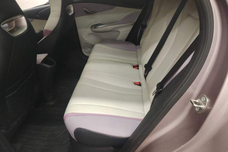 Used BYD Dolphin 2021 405 km Fashion Edition Left Rear Seat