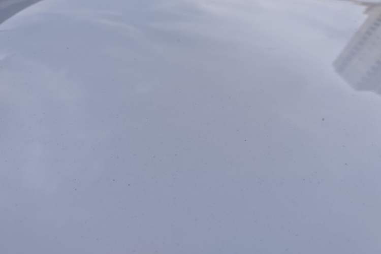 Used ORA Black Cat 2019 351 km Lingzhi Edition