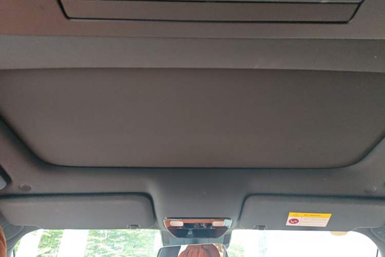 Used Li Auto L9 2022 Max model Headliner