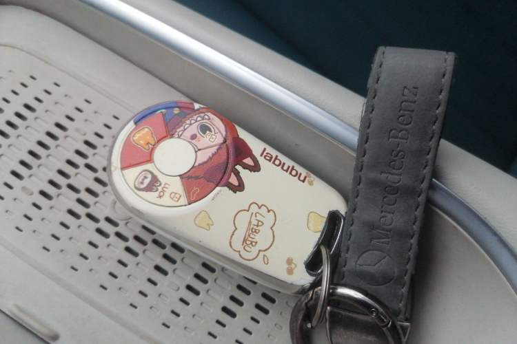 Used ORA Good Cat 2023 401 km Standard Range Luxury Version Lithium Iron Phosphate
