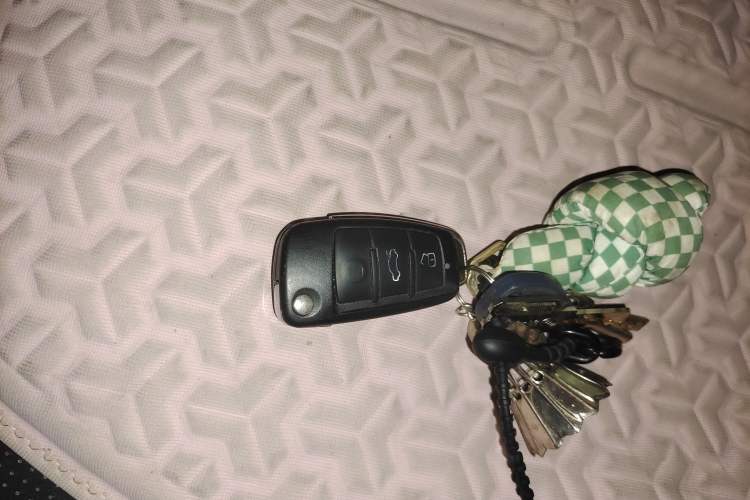 Used Levdeo Mango 2021 Qumang Yuedong Edition 185km