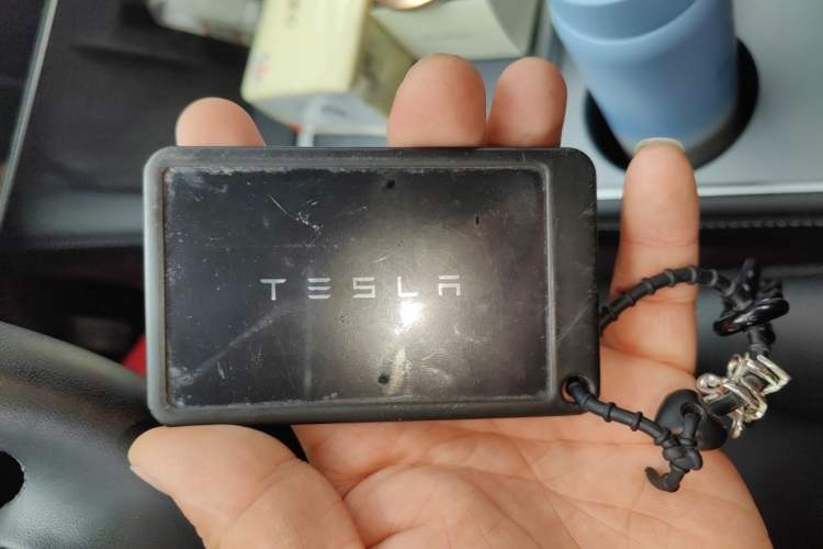 Used Tesla Model 3 2022 Rear-Wheel-Drive Version