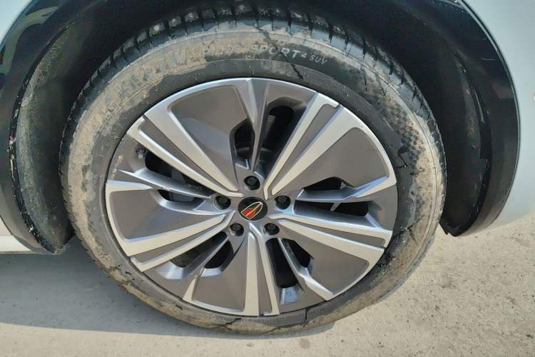 Used Hongqi E-HS9 2022 660 km Range Flagway Edition Six Seats
