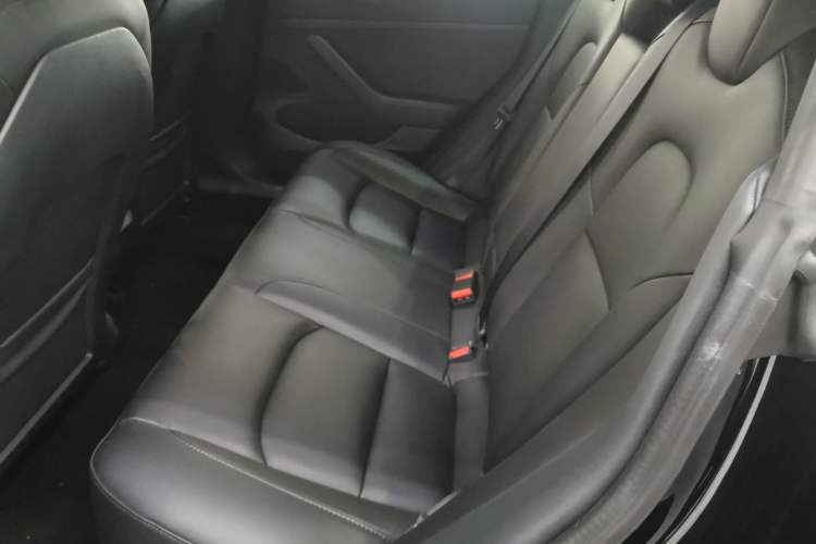 Used Tesla Model 3 2020 Standard Range Rear-Wheel Drive Upgraded Version
