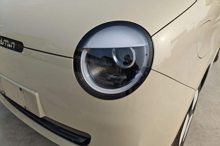 Used Qiyuan Lumin 2023 205km Xiangqin Version