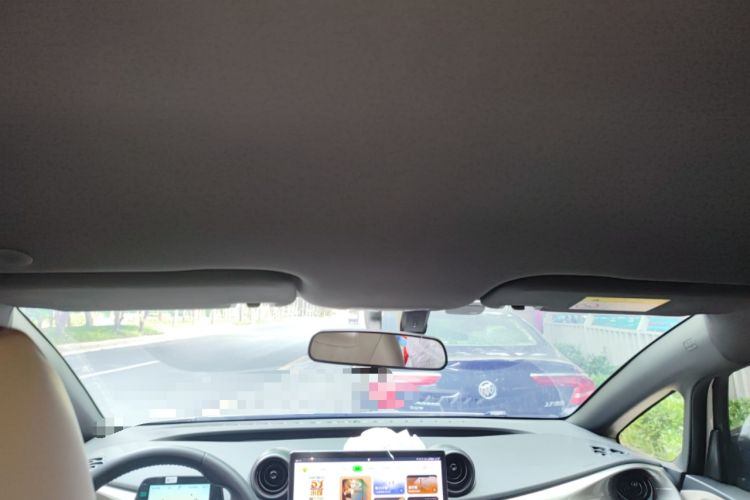 Used BYD Dolphin 2025 420km Free Edition Headliner