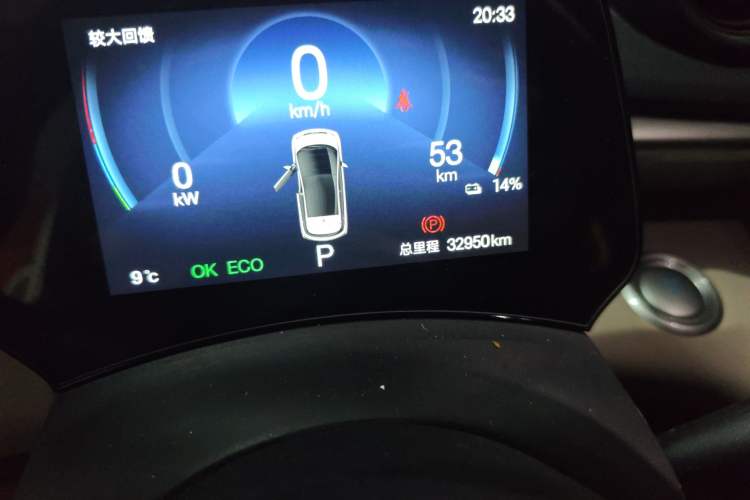 Used BYD Dolphin 2024 Honor Edition 420km Freedom Version Odometer Close Up