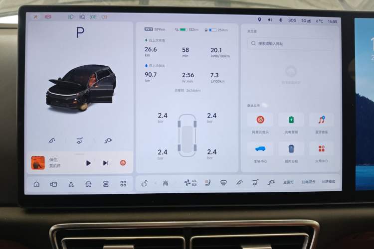 Used Li Auto L6 2024 Pro Model
