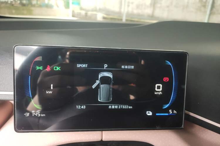 Used BYD Seagull 2024 Honor Edition 305km Dynamic Version
