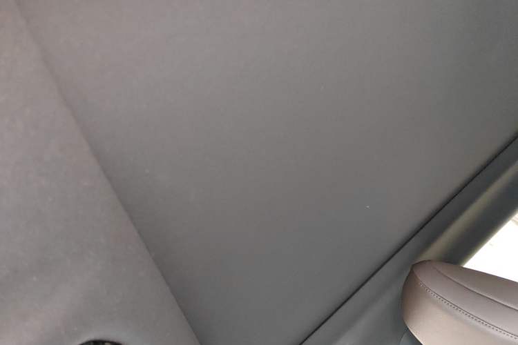 Used Lexus RX New Energy 2023 450h+ Four-Wheel Drive Enjoyment Edition Headliner