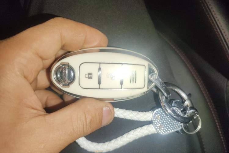 Used Nissan Qashqai 2022 2.0L CVT XV Premier Luxury Edition