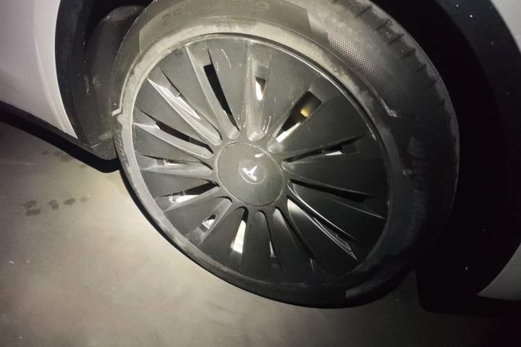 Used Tesla Model Y 2021 Standard Range Rear-Wheel Drive Version
