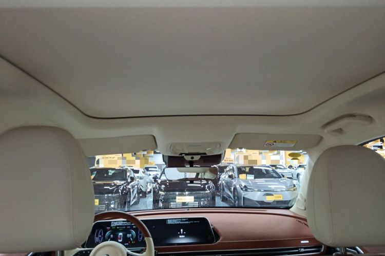 Used ORA Good Cat 2021 400km Standard Range Athena Edition Lithium-Ion Battery
