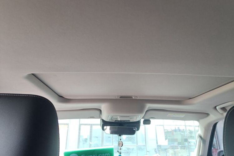 Used Tank 300 2021 Off-Road Edition 2.0T Conqueror Headliner